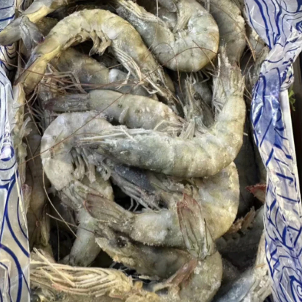 盐冻王牌大虾3040 净重约3斤