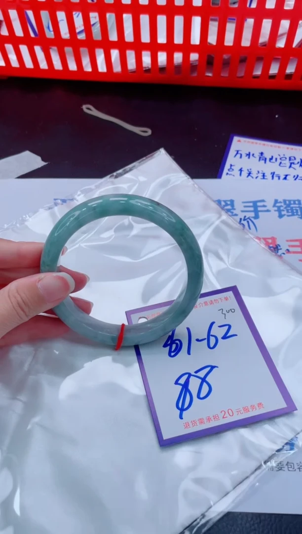 未镶嵌手镯翡翠11111111