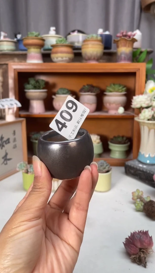 瓷片409小芳直播编号