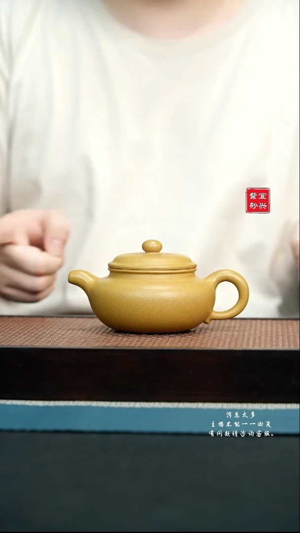 茶壶紫砂14 宜兴原矿紫砂