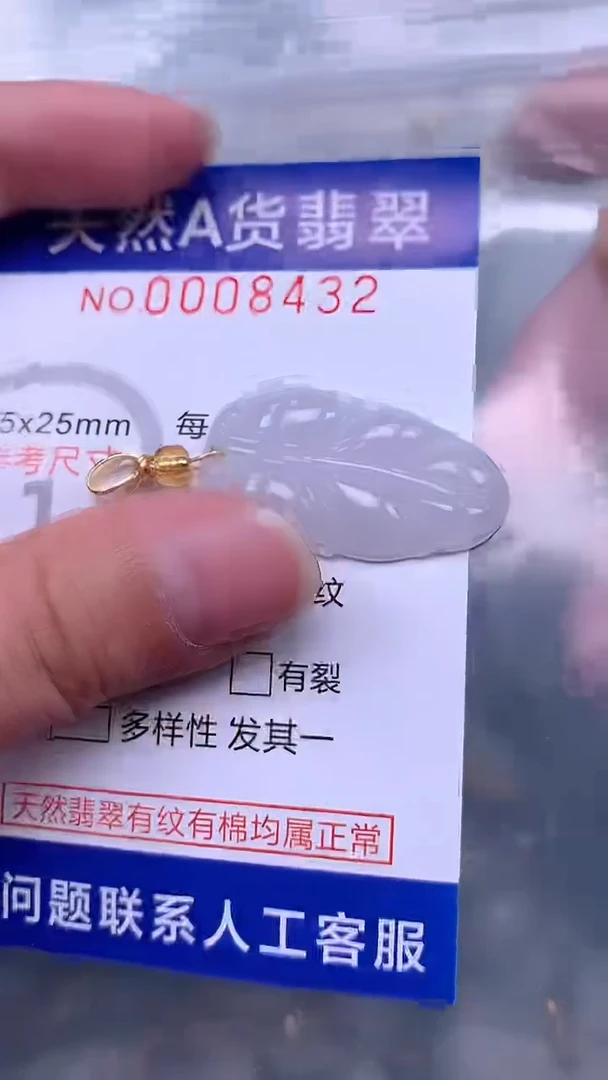 翡翠未镶嵌吊坠(不含链)1