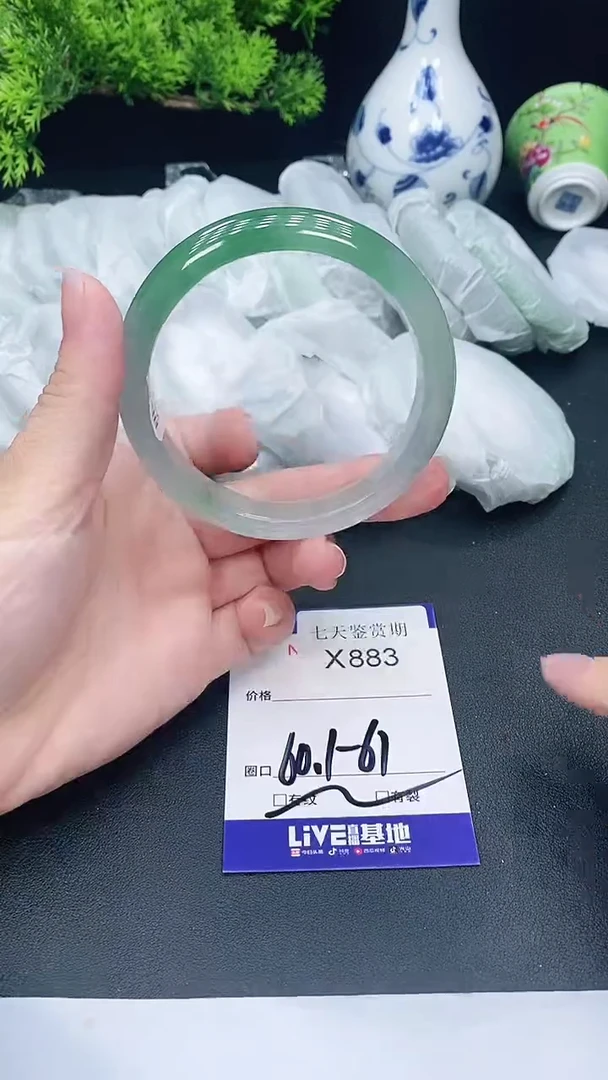 未镶嵌手镯翡翠883