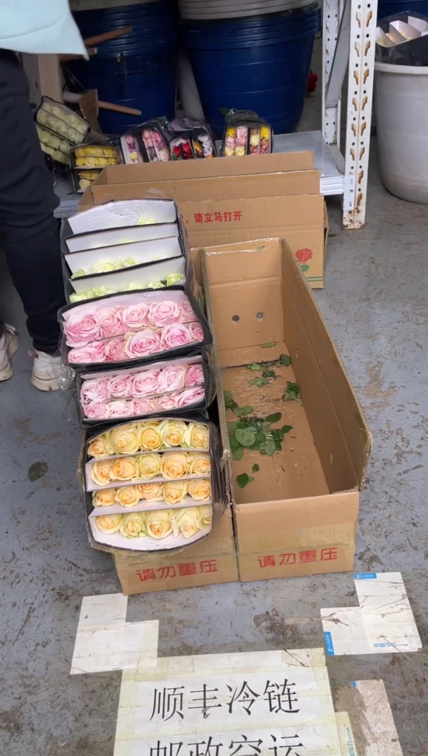 香槟20枝+粉红20枝+骄傲20枝