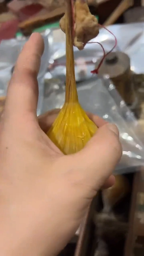 紫砂紫砂紫砂紫砂紫砂紫砂紫砂