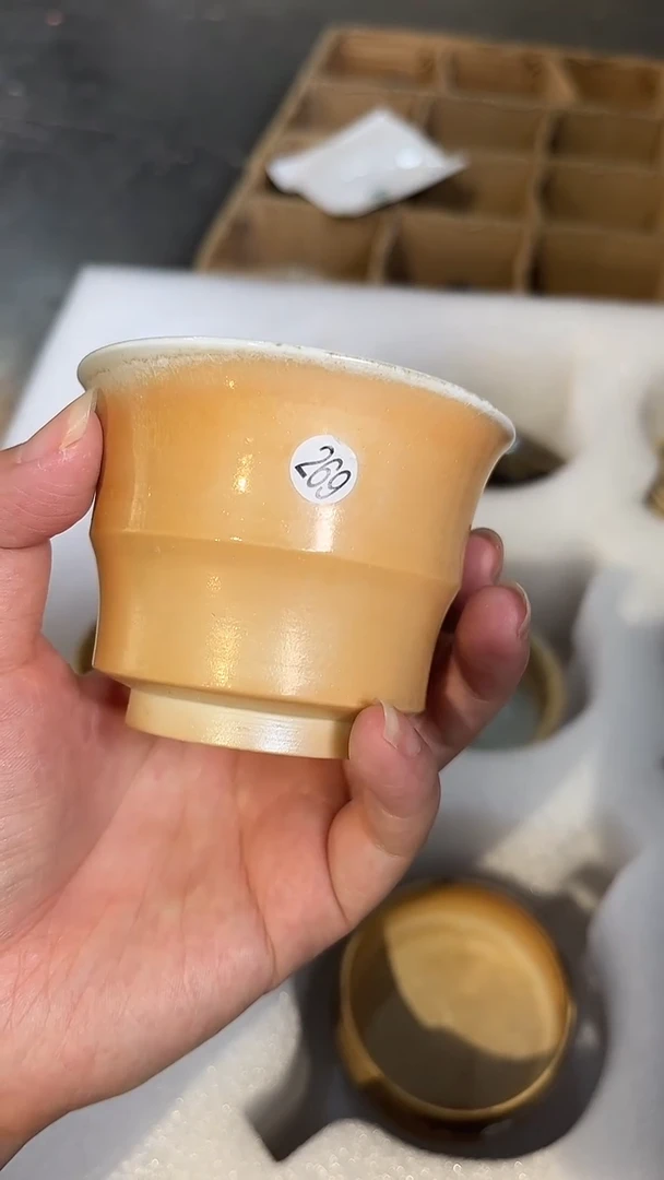 杯269号容量60-80ML杯