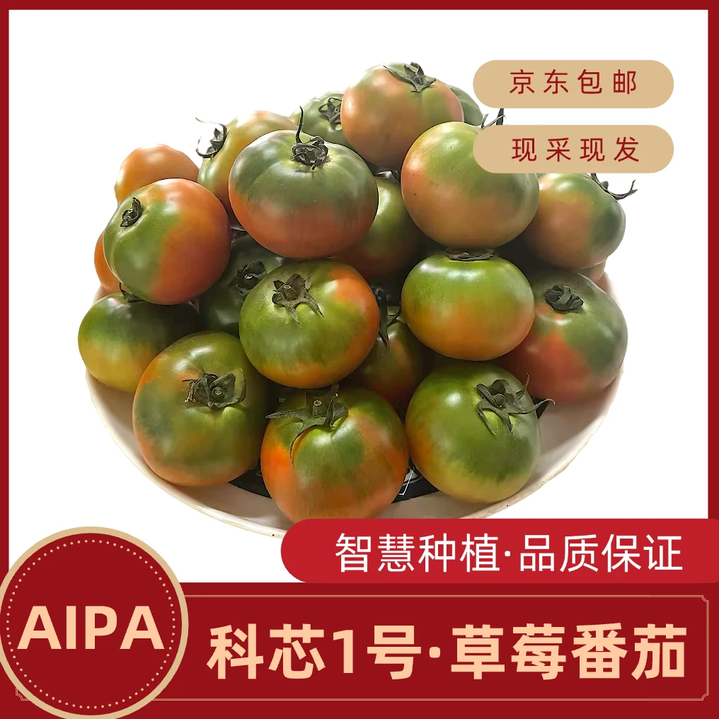 泰达甄选科芯1号草莓番茄饱满多汁甜酸可口
