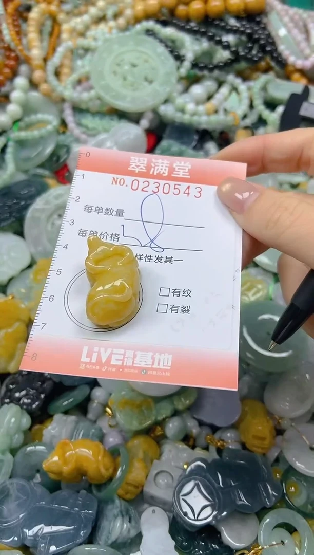 颈饰未镶嵌翡翠闪购0230543