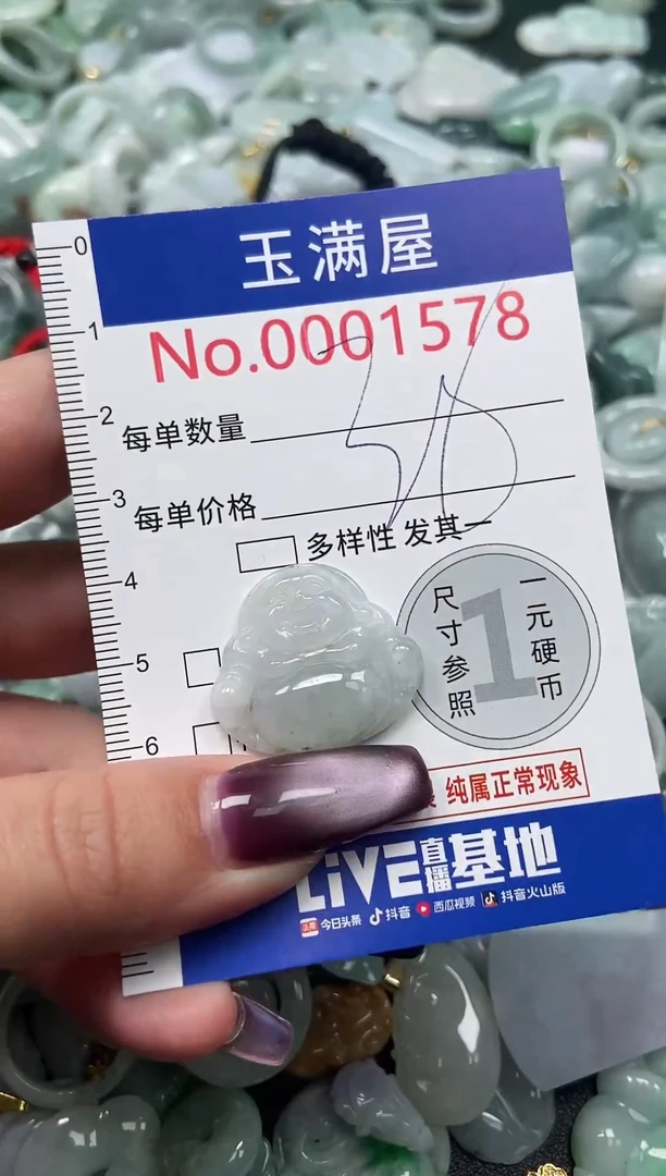 颈饰未镶嵌翡翠1578