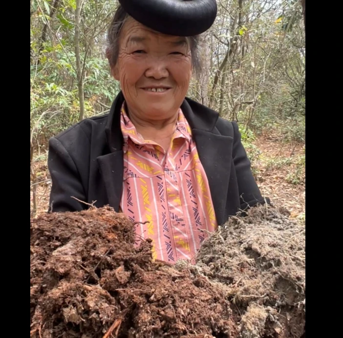 【拍5发6】通用型有机腐殖土有机质肥力持久蔬菜花卉通用育苗多肉