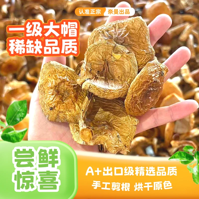 【赠试吃装】内蒙新货滑子菇小黄蘑干货不熏硫爆炒炖煮煲汤鲜香滑嫩