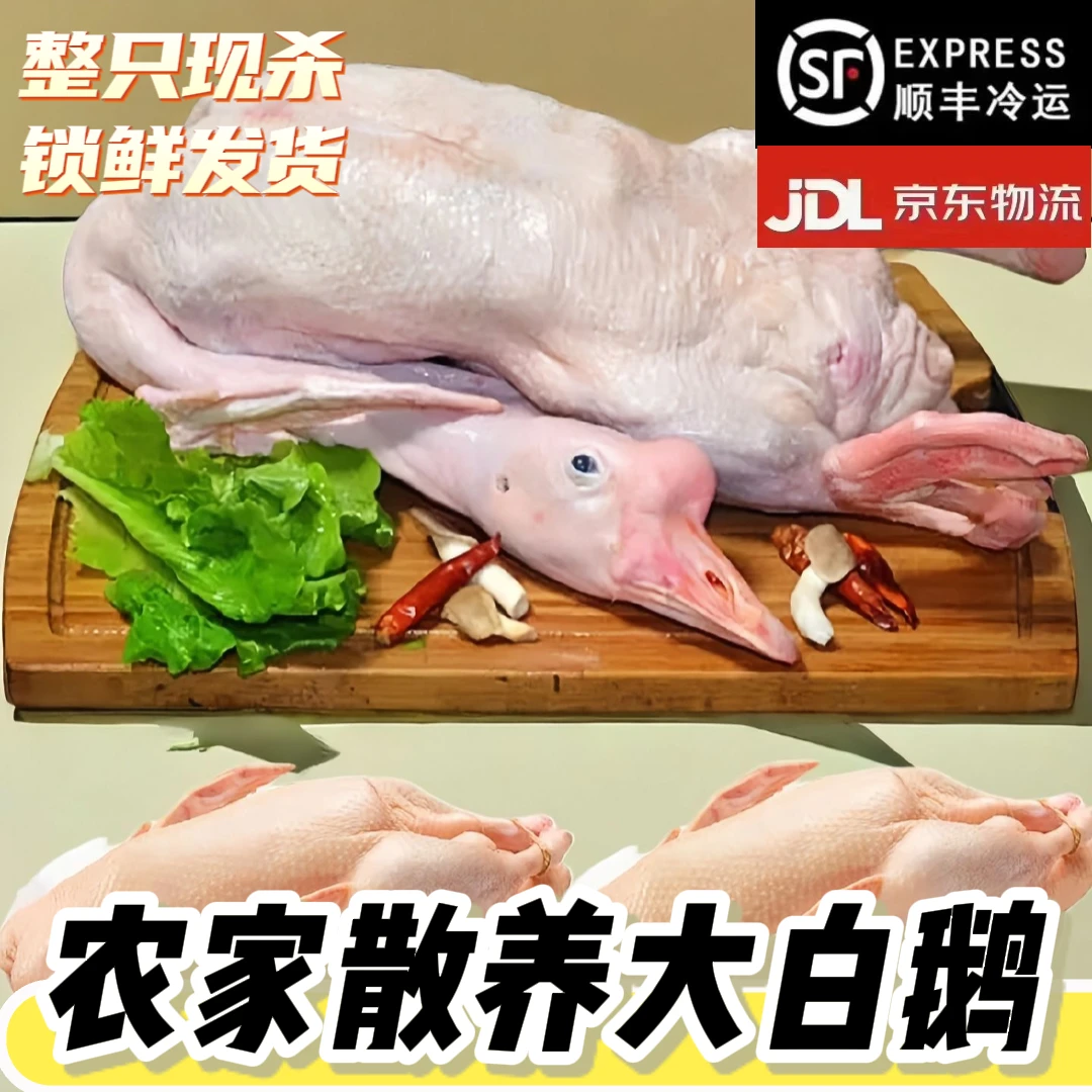 【送乌鸡】农家散养大白鹅整只处理新鲜宰杀冷链包邮