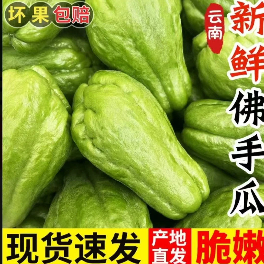 【抢购5斤】云南新鲜现摘佛手瓜清甜多汁可生吃蔬菜