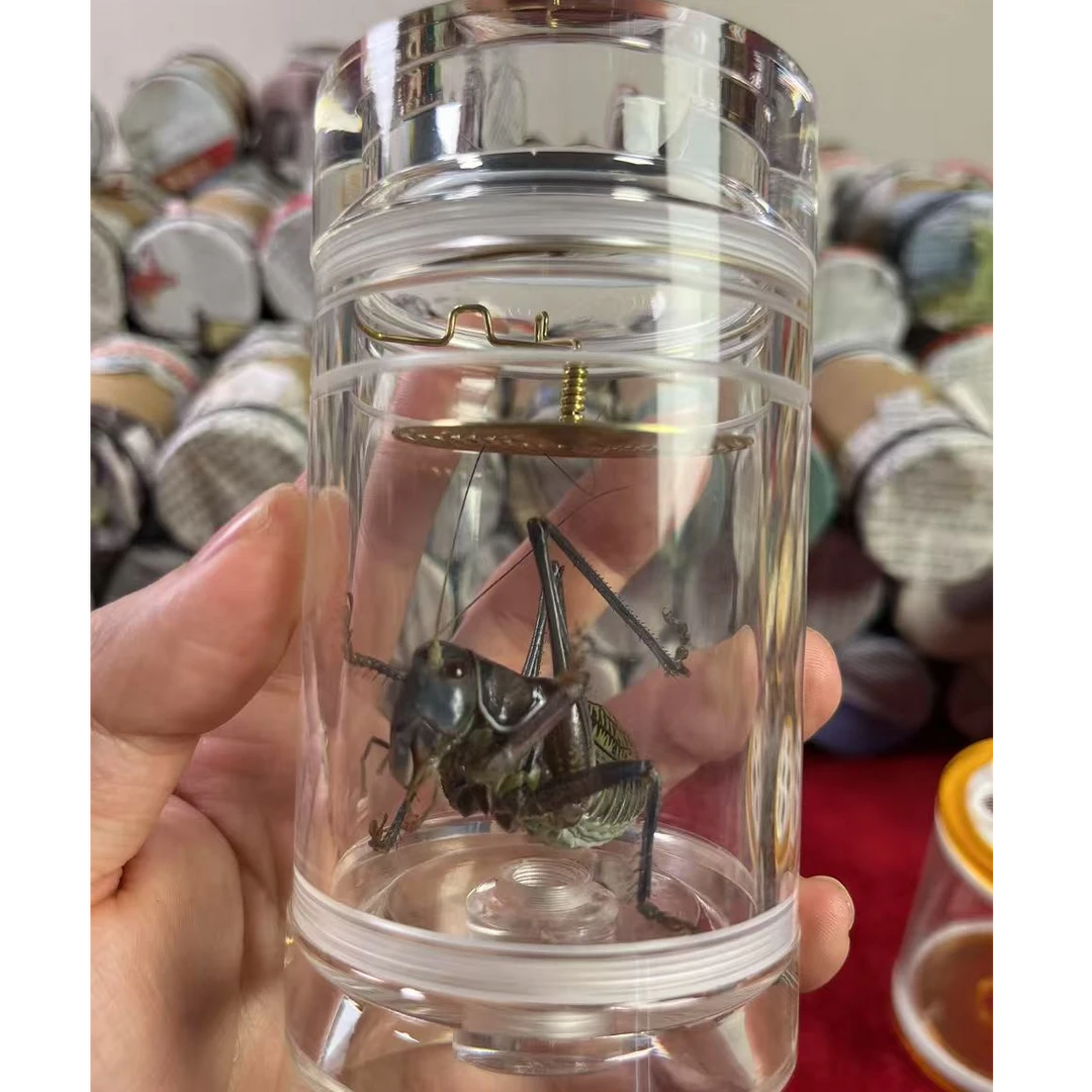 水晶独眼老王蝈蝈叫罐 高端叫罐 药叫罐 蝈蝈本叫罐 水晶蝈蝈罐