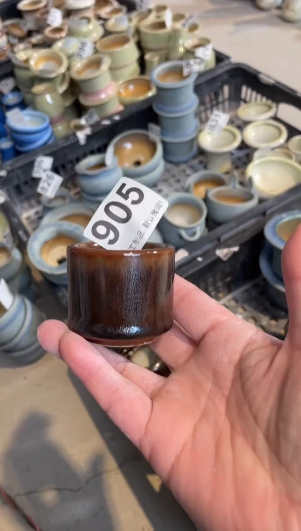 瓷片905小芳直播编号