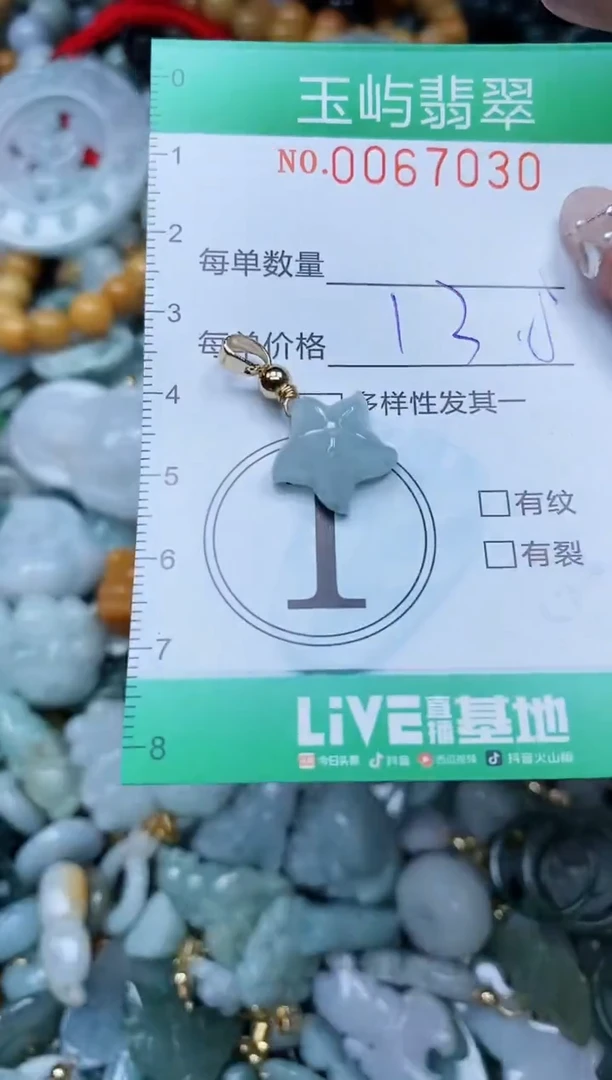 【闪购商品】翡翠颈饰未镶嵌闪购0067030