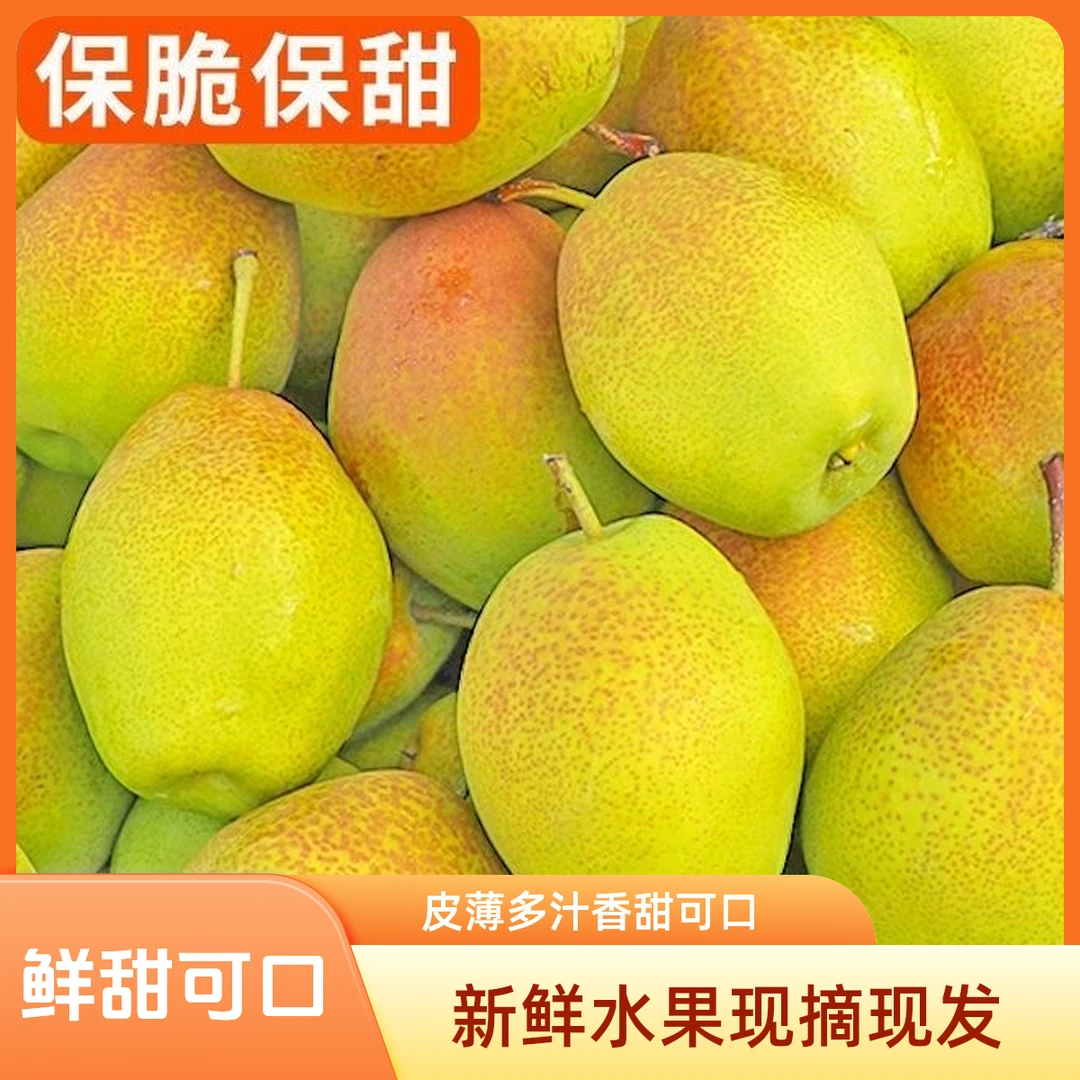 【爆品福利】正宗红香酥小香梨3-9斤包邮/正宗新鲜水果皮薄多汁梨子