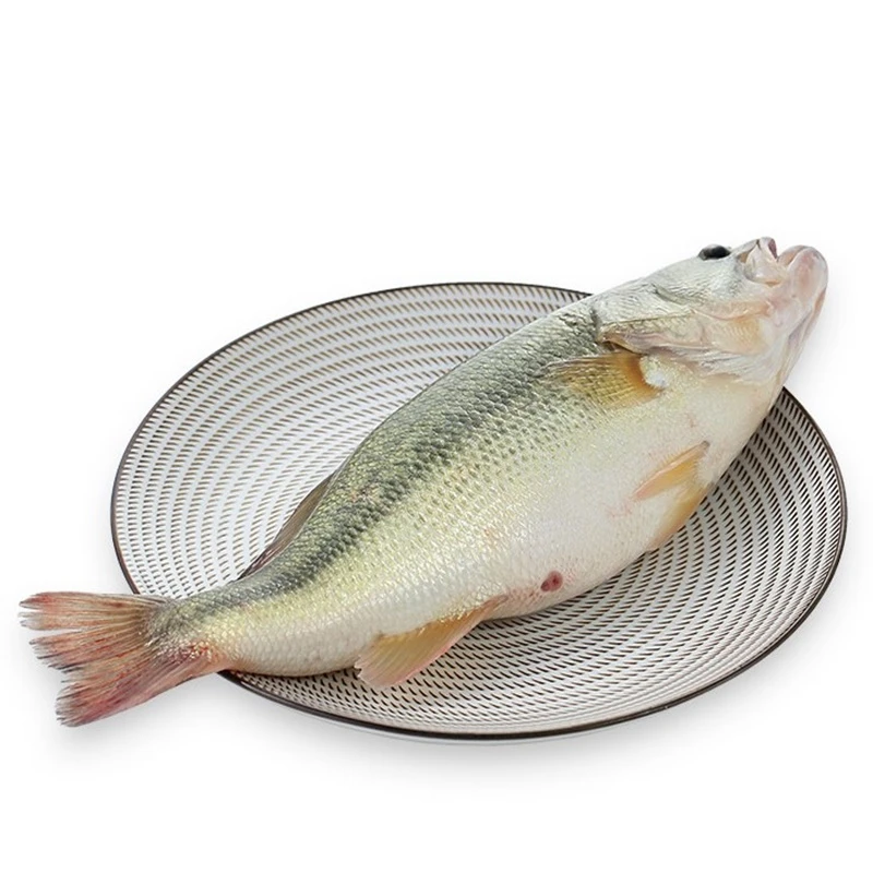 【下单现杀】鲈鱼 约450-550g/份 默认清理