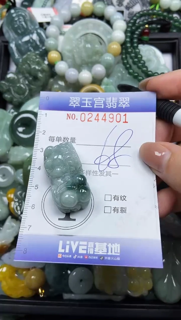 颈饰未镶嵌翡翠闪购C0244901