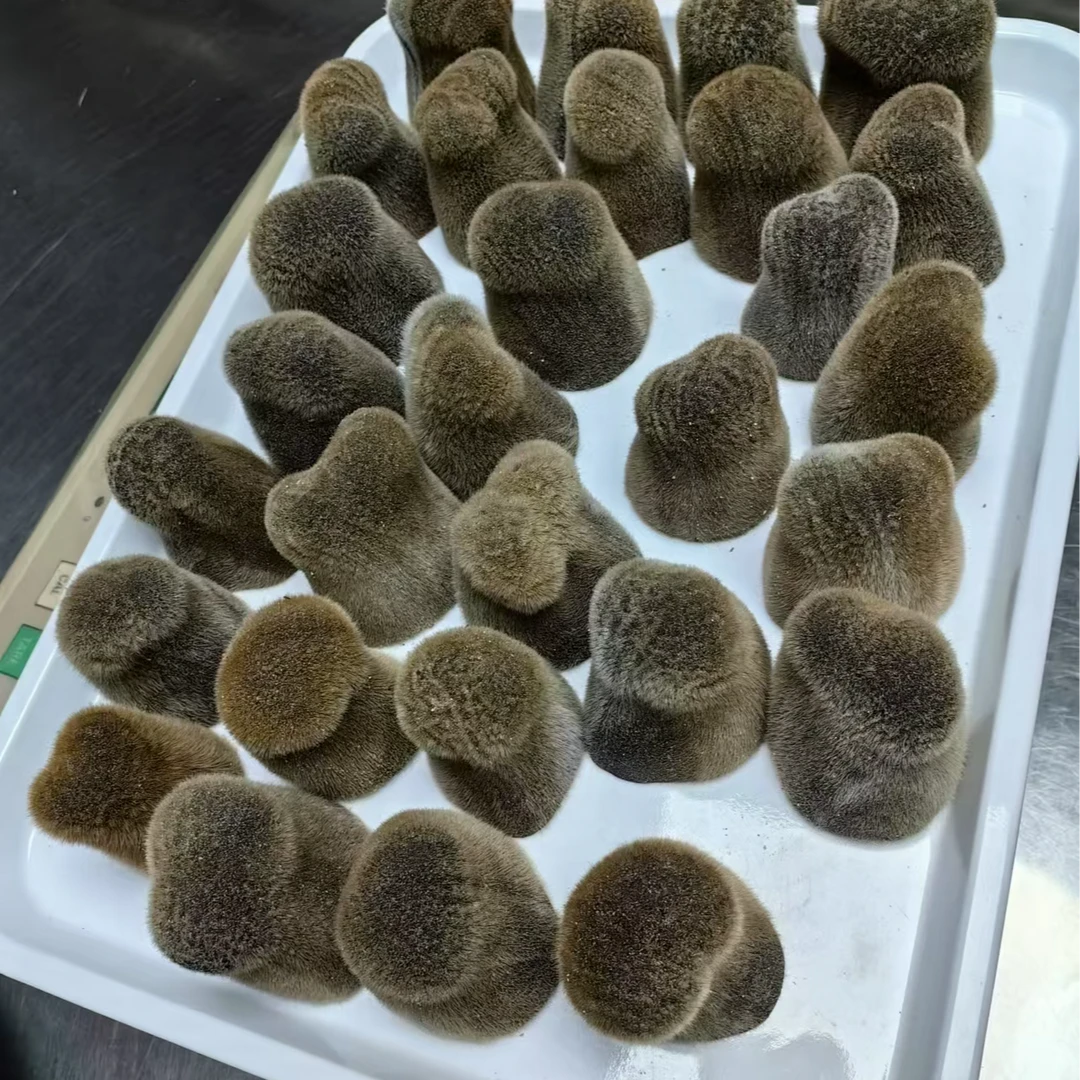 海燕家梅花鹿头茬鹿茸上部全蜡片净蜡不排血净蜡煲汤熬粥含潮嘴头