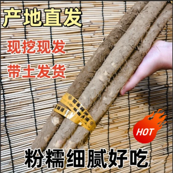 精品果王正宗垆土铁棍山药新鲜山药现挖现发产地直发软糯
