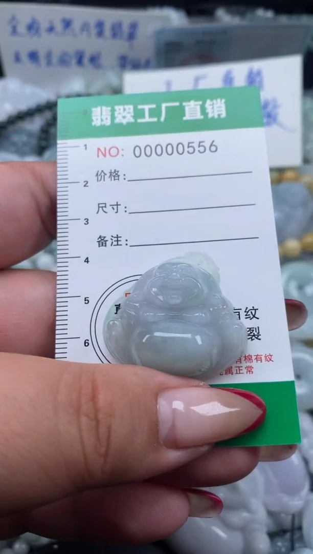 翡翠未镶嵌颈饰天然A货翡翠0556