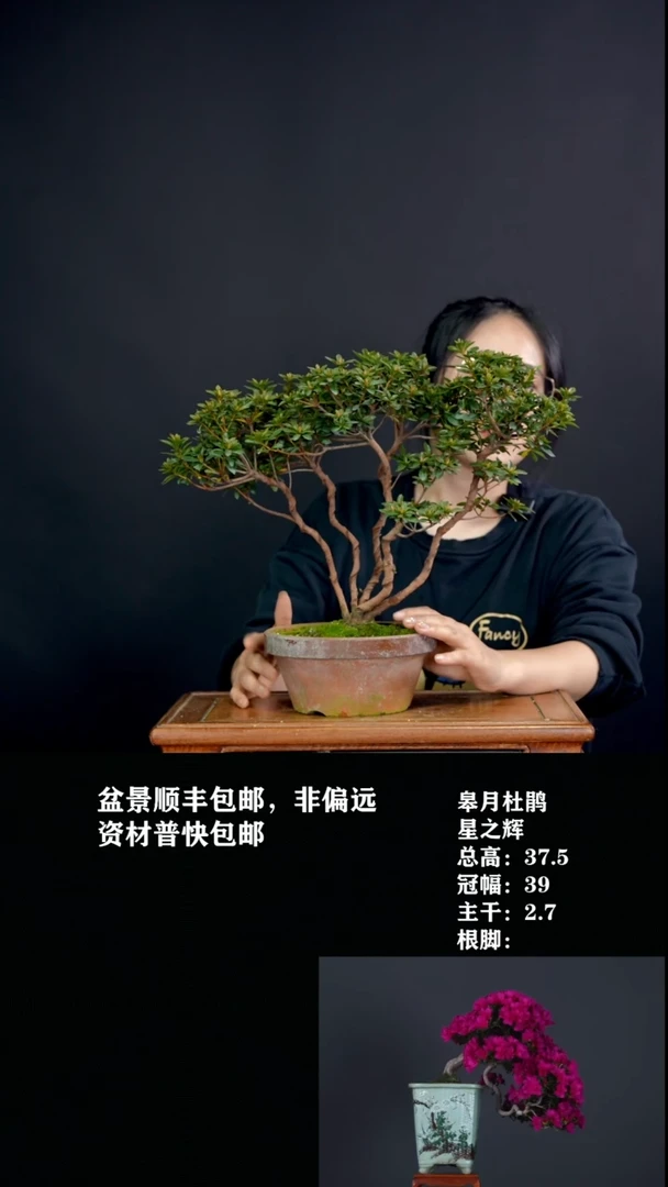 无花朵究*星之辉-464