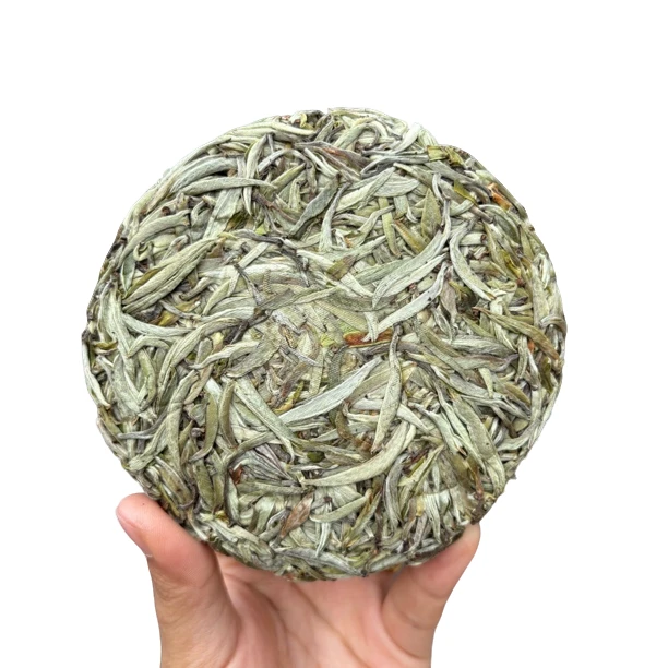 【高黎“白豪银针”】豪香蜜韵-古树单芽饼100g饼