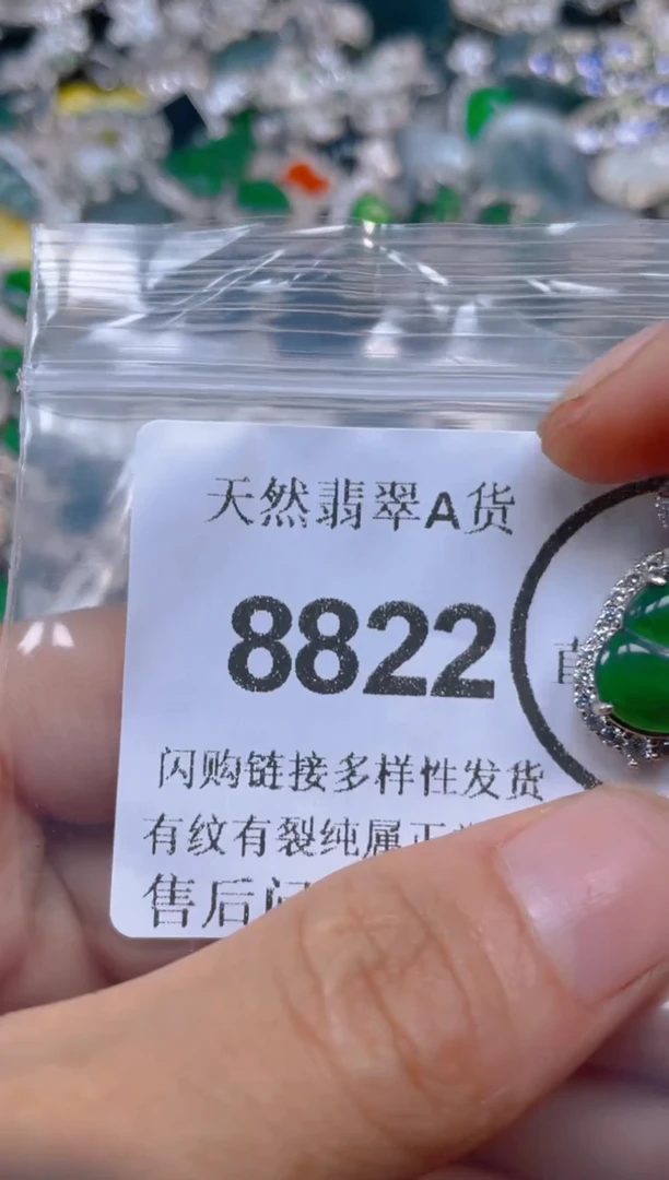 翡翠未镶嵌颈饰8822