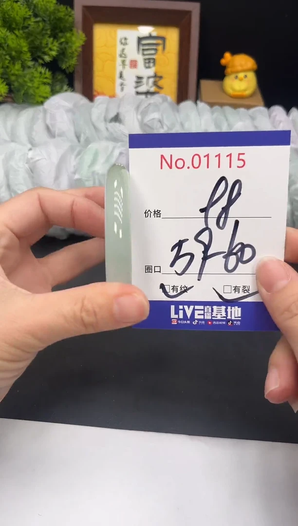未镶嵌手镯翡翠拍下以实物为准1115