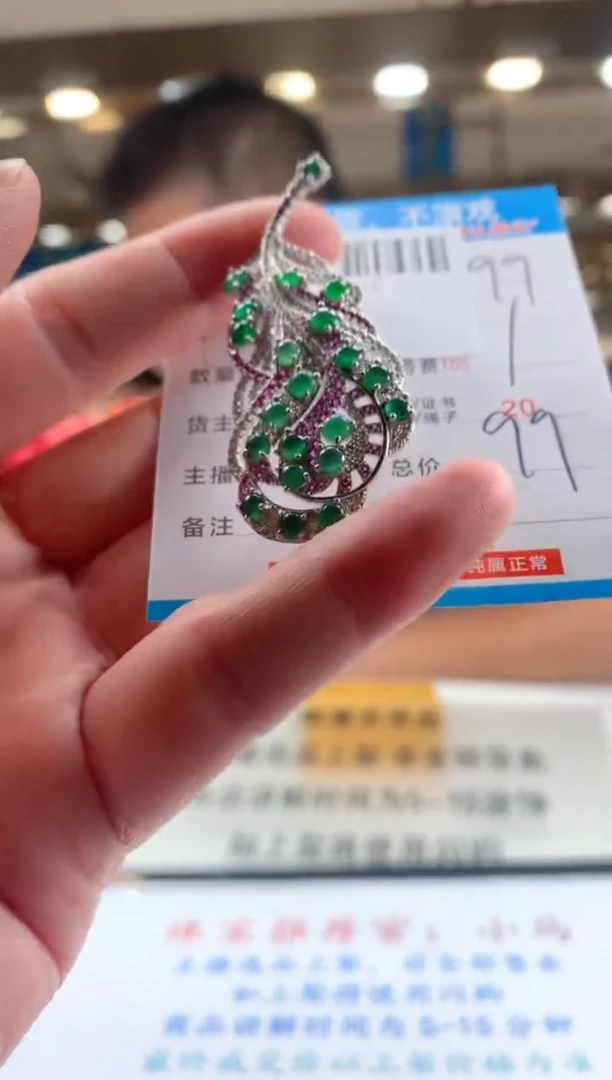 颈饰未镶嵌翡翠天然翡翠A货拍一发一