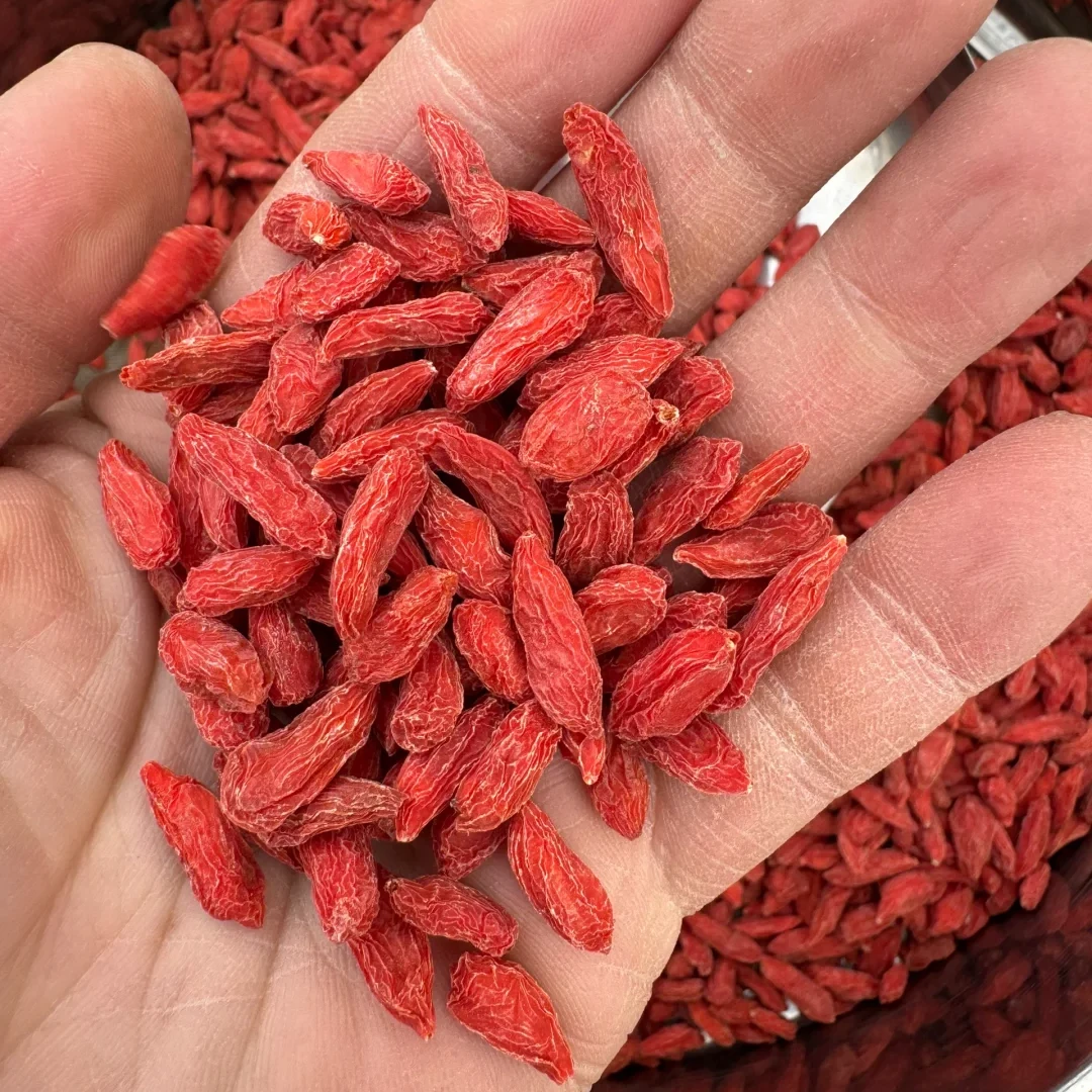 【山货】枸杞250g红枸杞子无硫大果颗粒营养头茬
