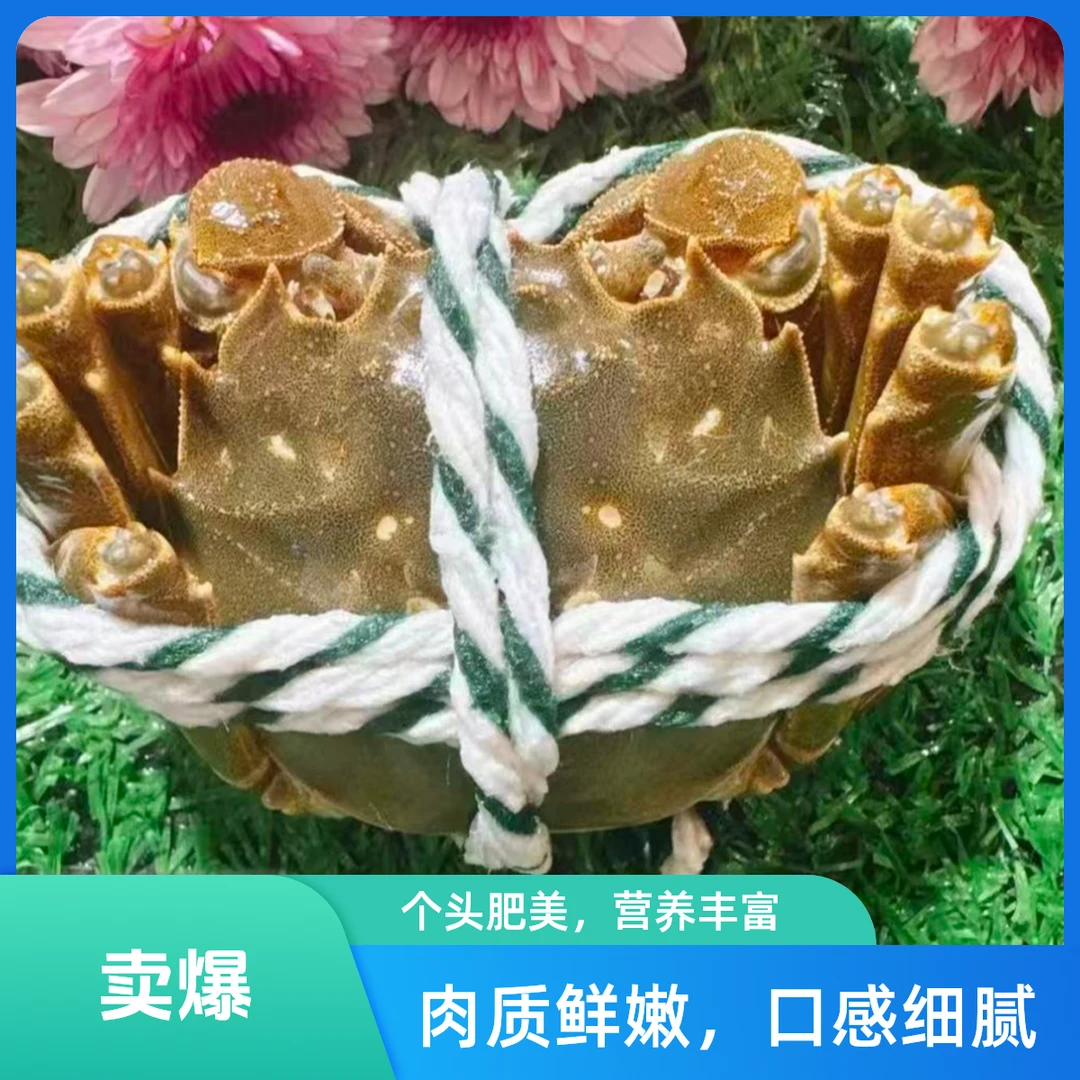 【活蟹】江苏兴化大闸蟹/母蟹/2两-2.3两/8只/顺丰包邮/次日达