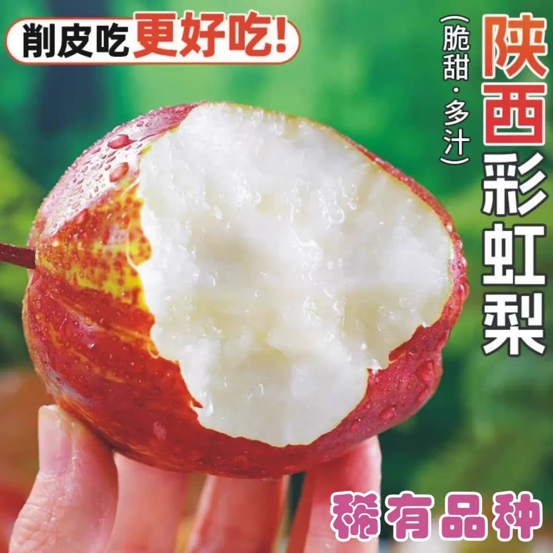 （正宗香酥玫瑰彩虹梨）陕西彩虹梨口感酥脆香甜多汁清甜可口酥梨