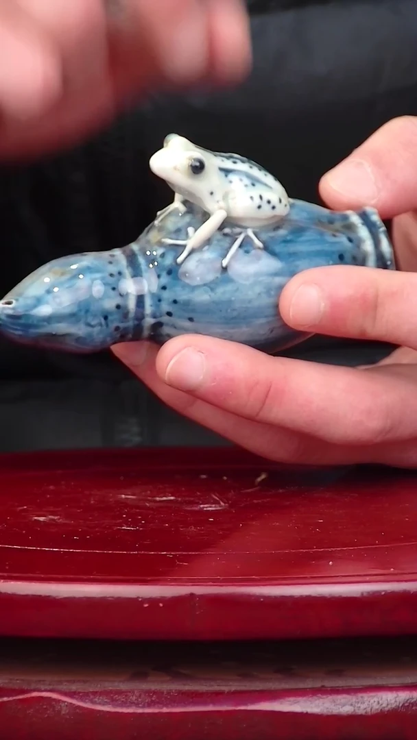 其他陶111111111111111111