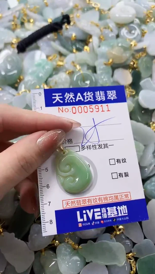 颈饰未镶嵌翡翠天然A货翡翠