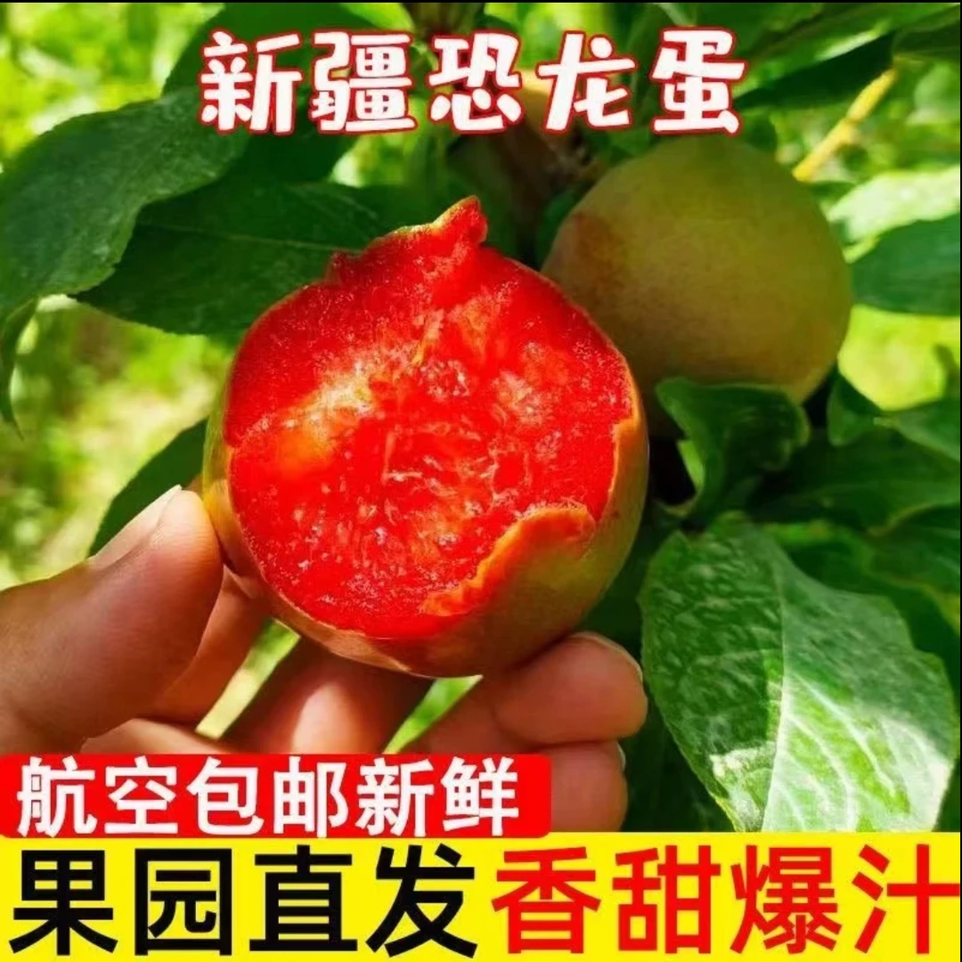 【顺丰空运】新疆喀什味帝恐龙蛋新鲜采摘宝妈都爱的高端水果