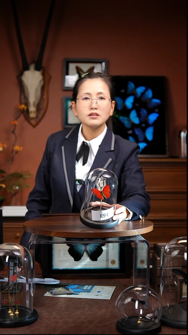 R94   血漪蛱蝶  玻璃罩款