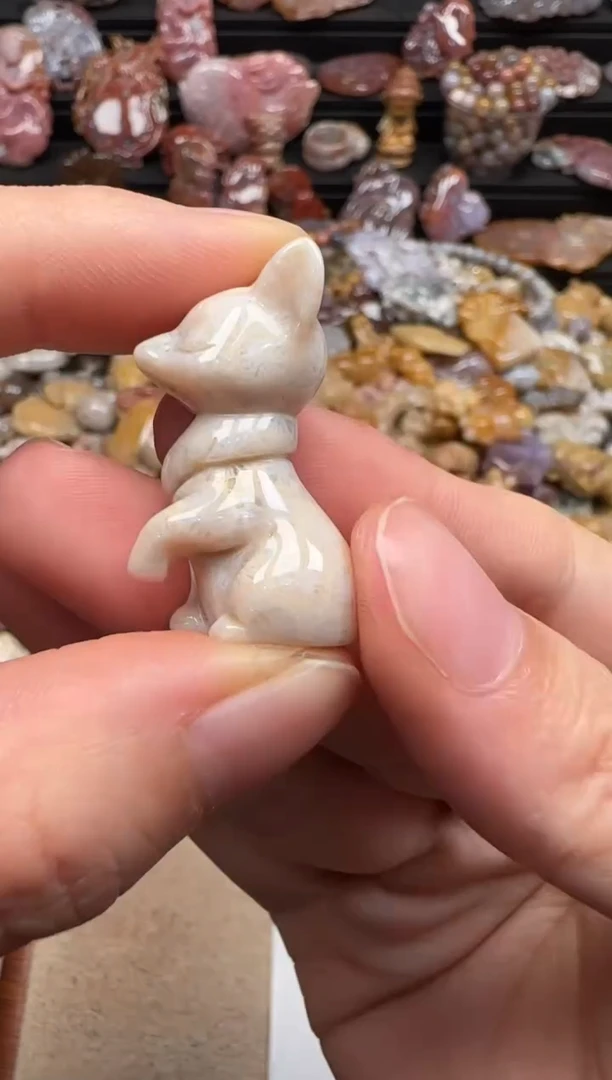 【闪购商品】硅化珊瑚（珊瑚玉）颈饰未镶嵌431