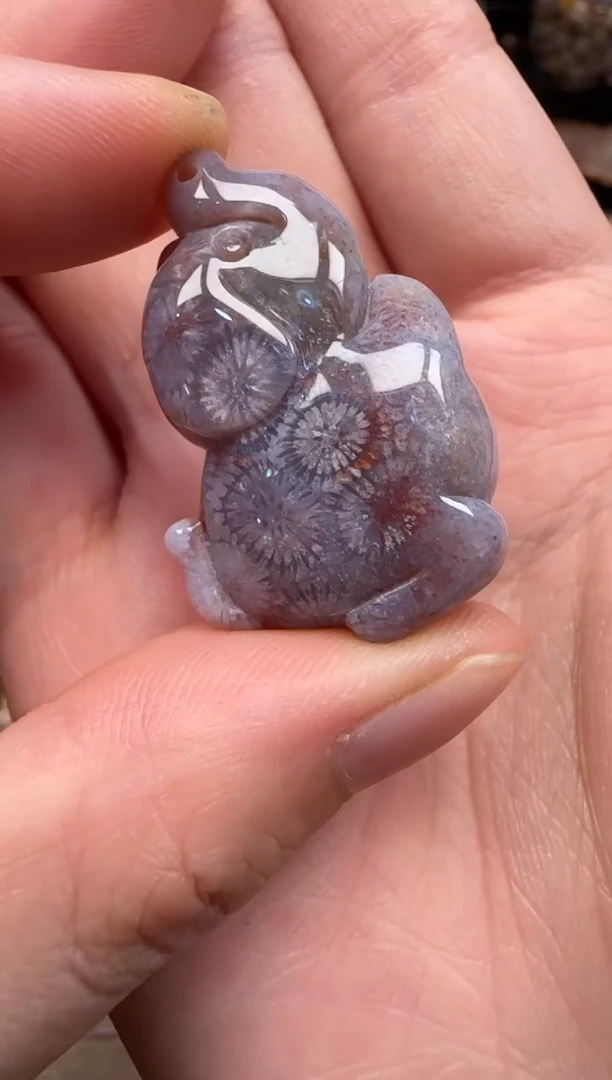 硅化珊瑚（珊瑚玉）未镶嵌颈饰152