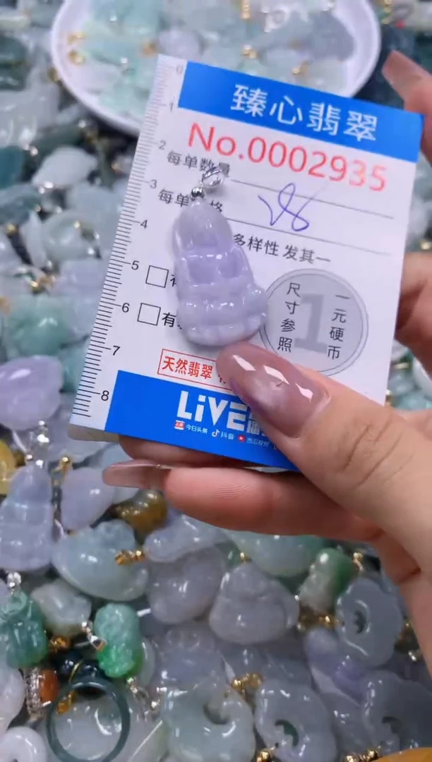翡翠未镶嵌颈饰含绳0002935