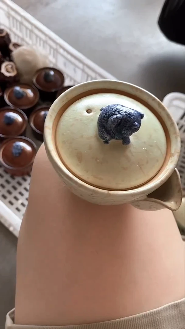 瓷片陶瓷茶器孤品B0