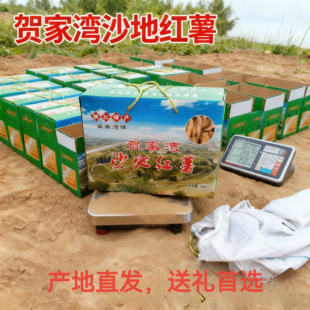 农家自种黄心沙地红薯香蕉蜜薯软糯香甜今年新产产地发货（礼盒装）