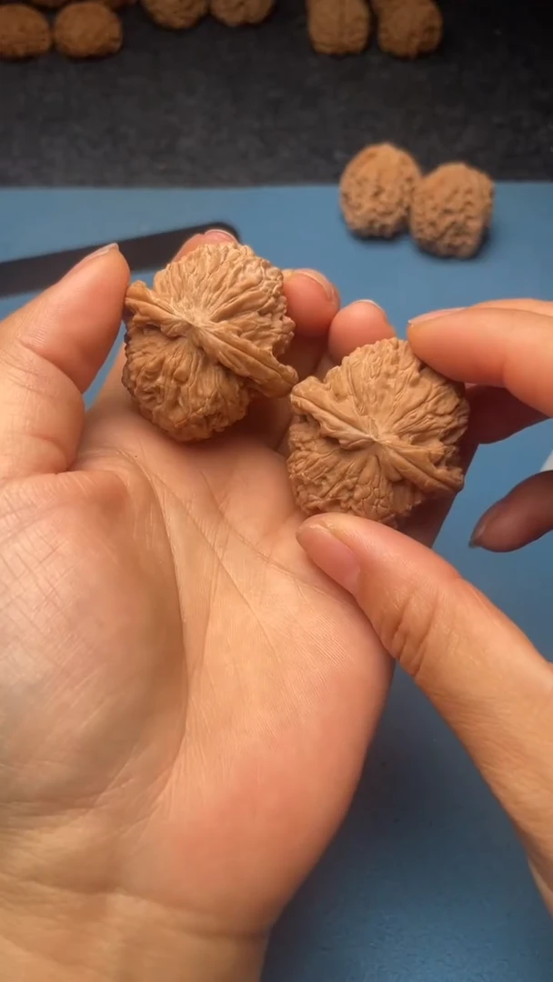 桃核把件w95   白狮子 38尺