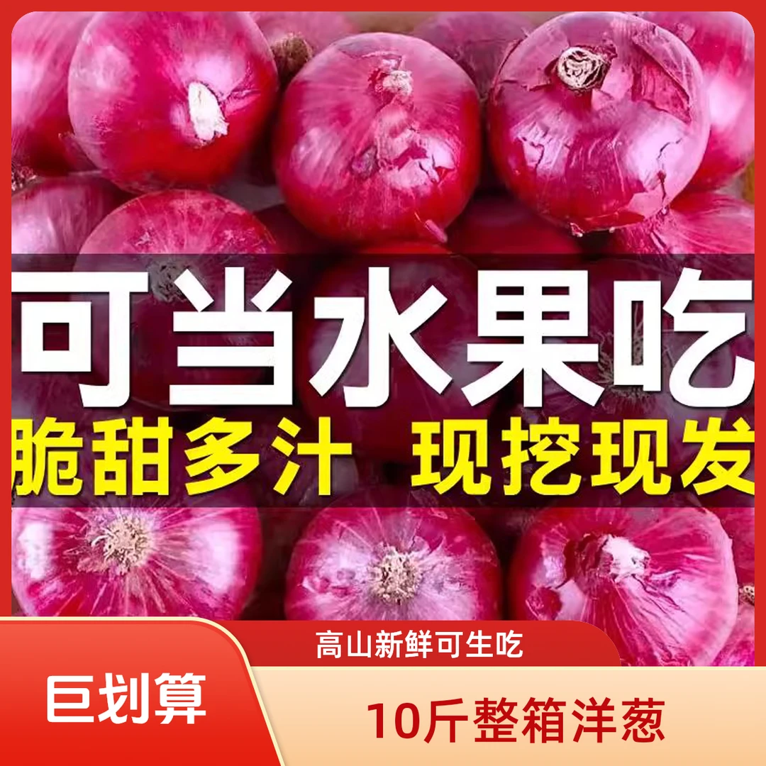 【带箱10斤】2025年大理新鲜现挖高山水果洋葱
