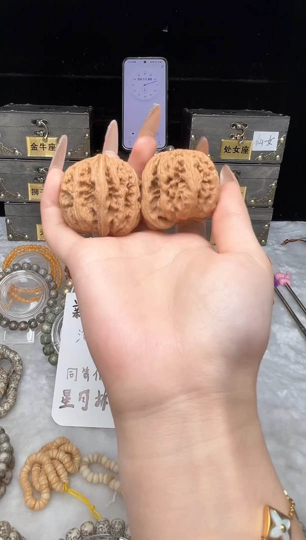 【闪购商品】星月菩提手串大粗筋