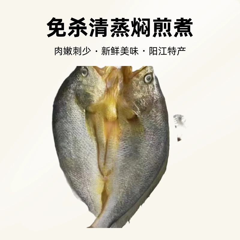 阳江特产黄花鱼三去大黄鱼新鲜免杀清蒸焖煎煮美味鲜小黄鱼黄鱼鲞