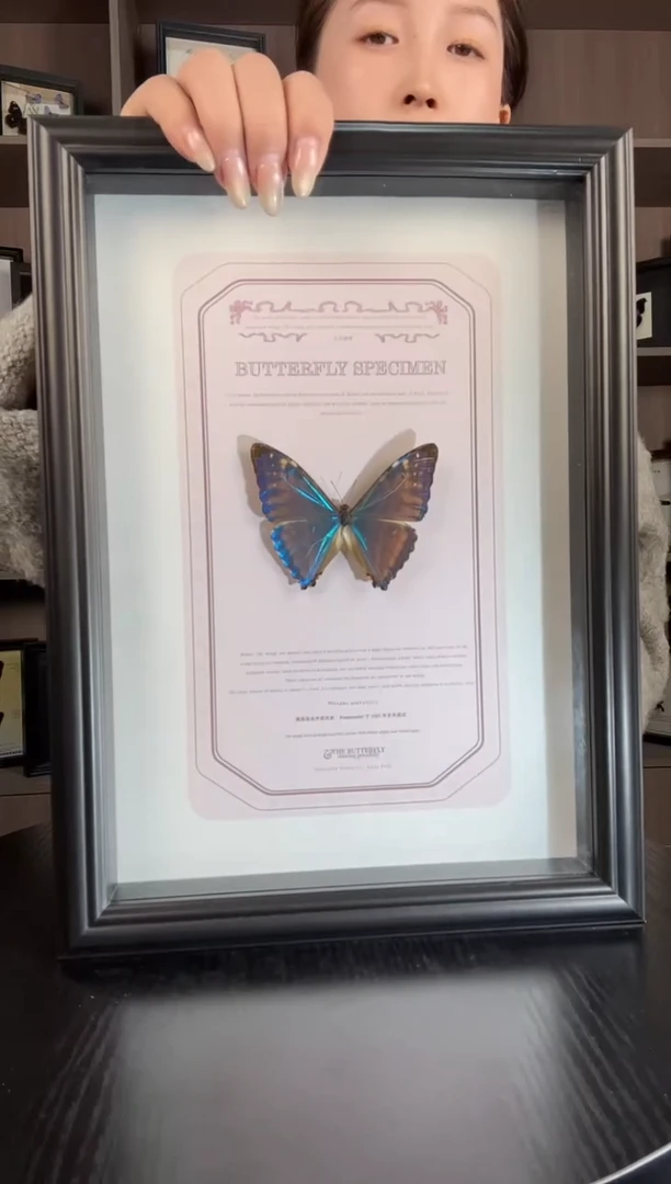 实木竖款西风闪蝶（蝴蝶装饰画A4框）