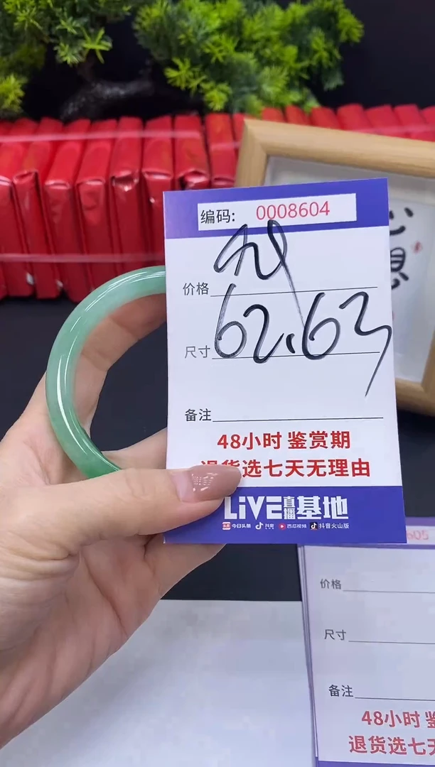 未镶嵌手镯翡翠0008604