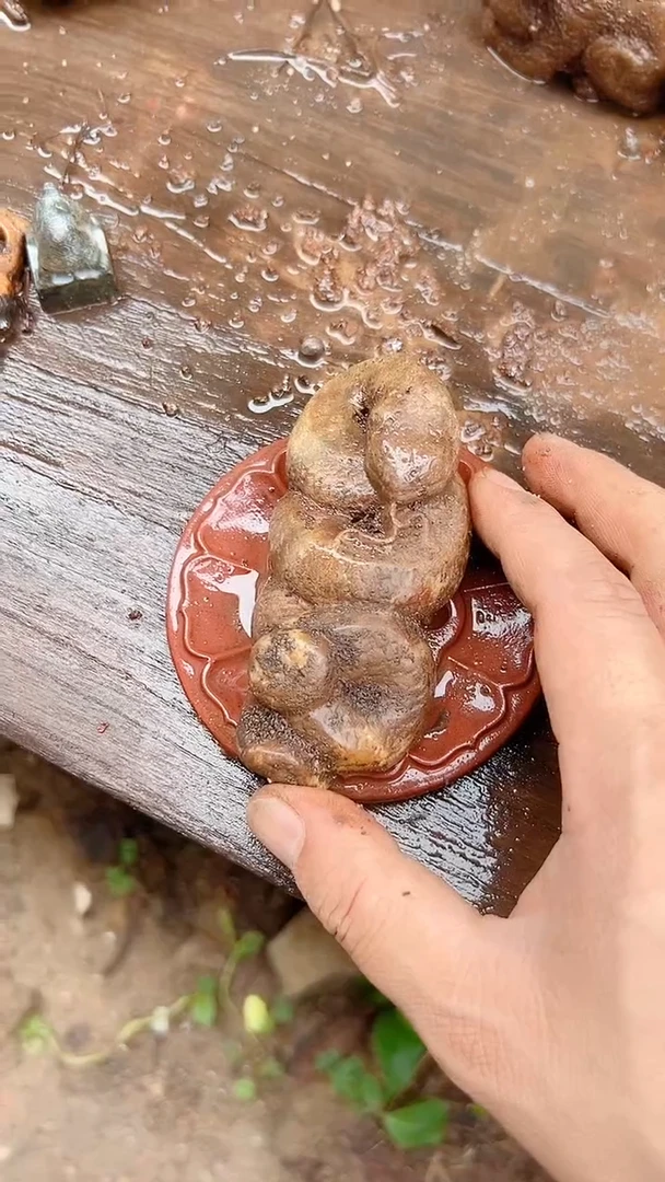 瓷器瓷器瓷器瓷器张*国瓷器瓷器瓷器瓷器