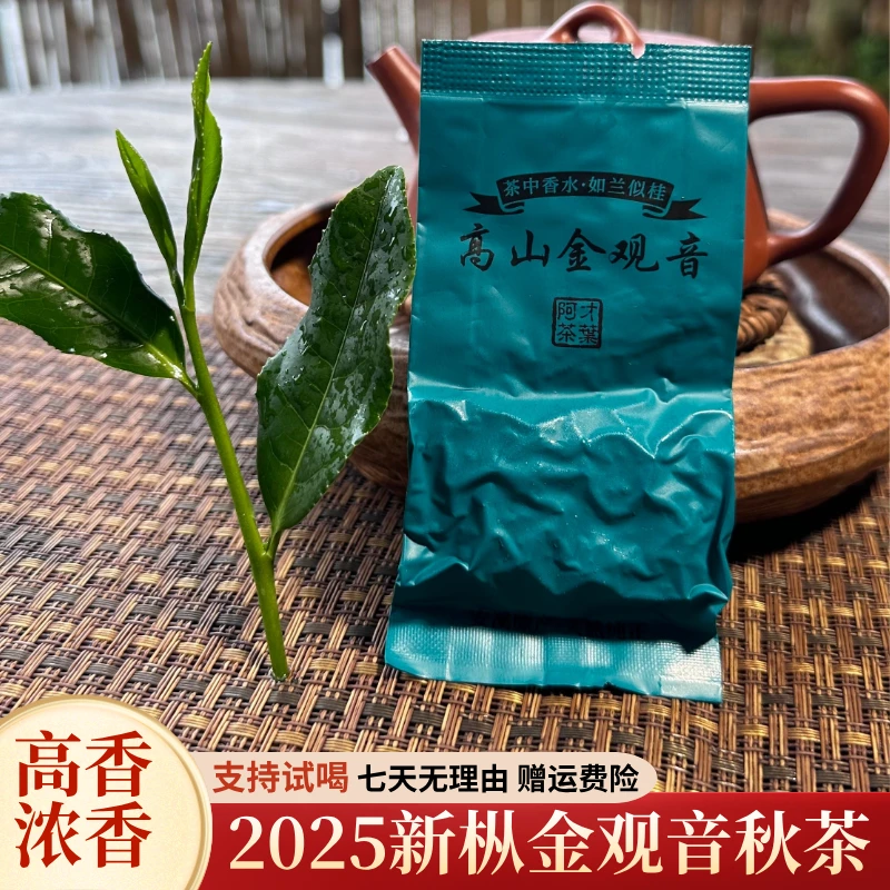 【秋茶新枞金观音】2025秋茶新高香浓香茶叶高山茶桂花香乌龙茶